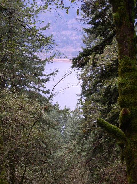 Waukeena Mult Falls 11.26.05 045 